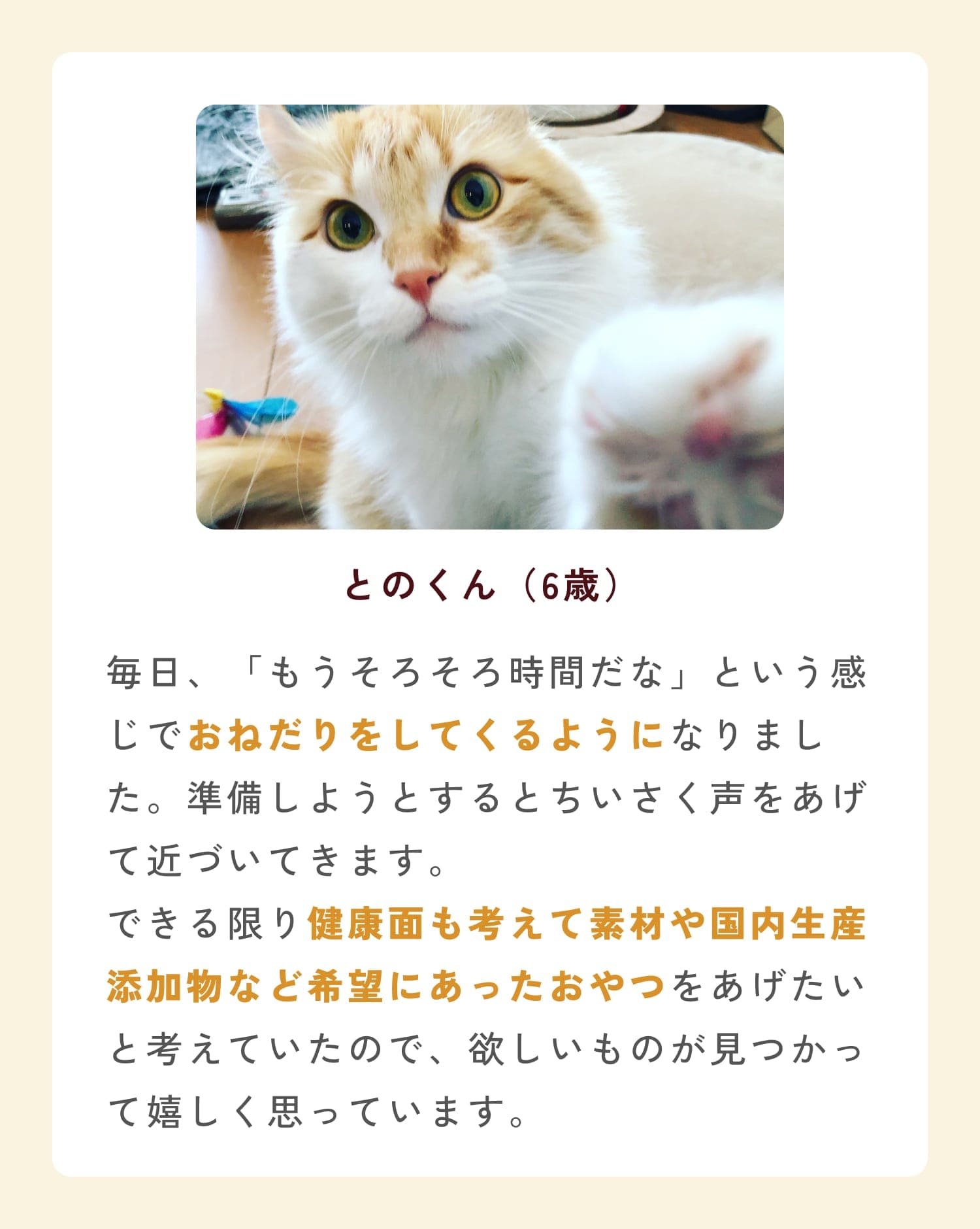 ミャオグルメのお客様によるお声です