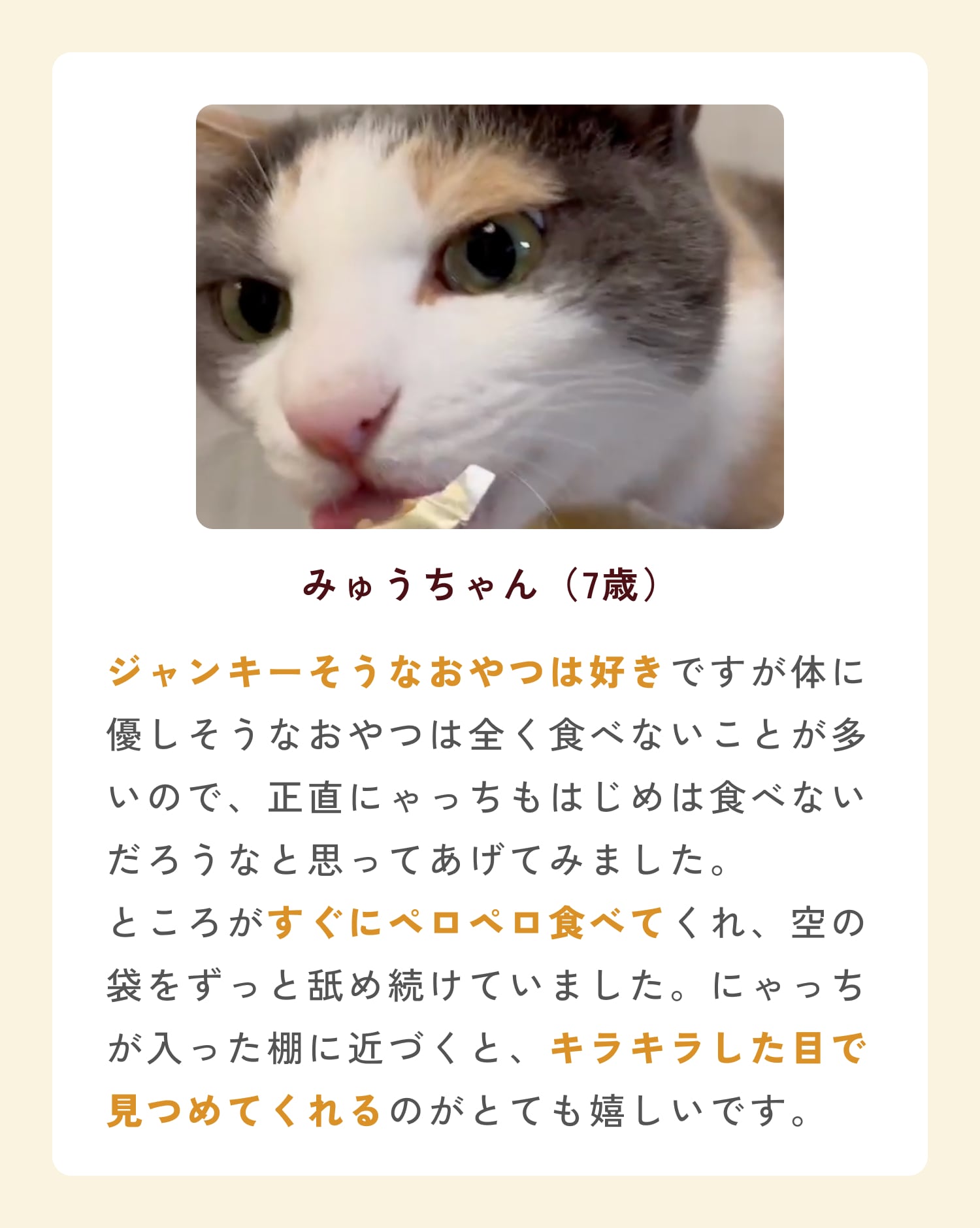 ミャオグルメのお客様によるお声です