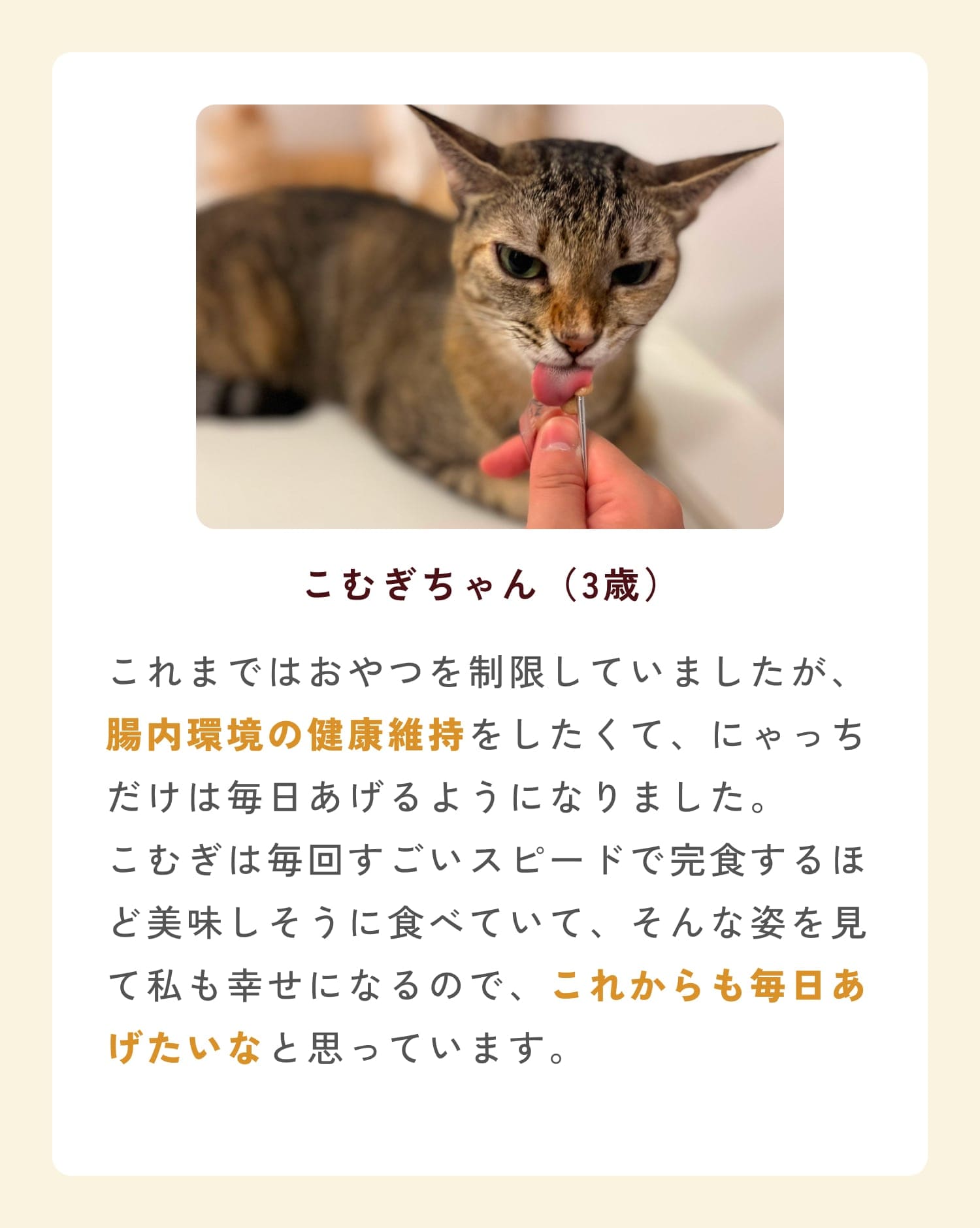 ミャオグルメのお客様によるお声です