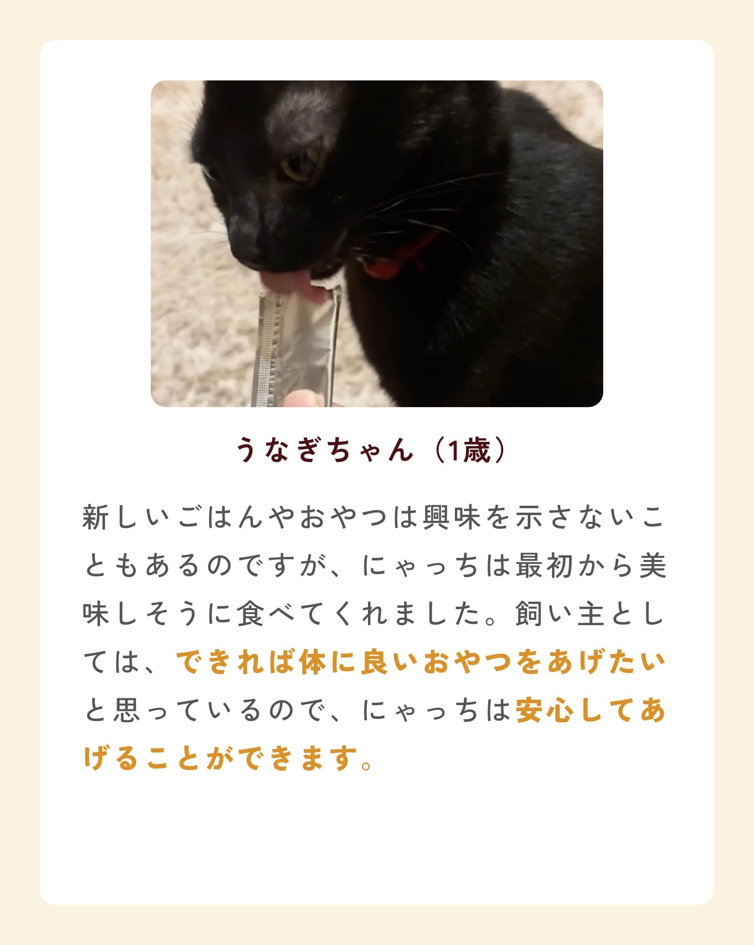 ミャオグルメのお客様によるお声です