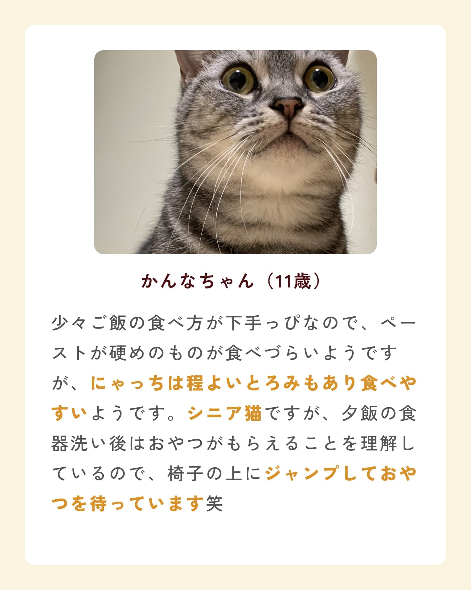 ミャオグルメのお客様によるお声です