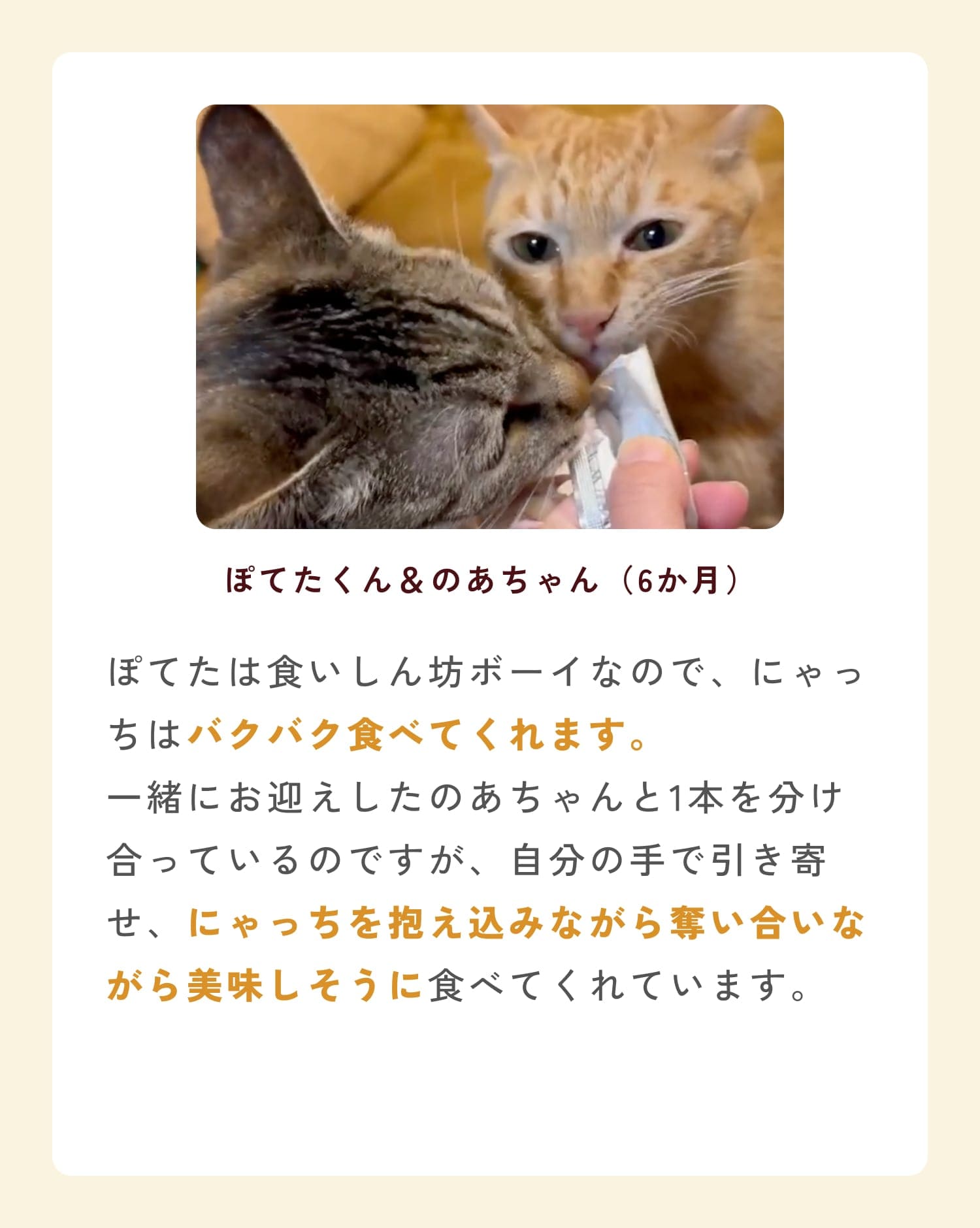 ミャオグルメのお客様によるお声です