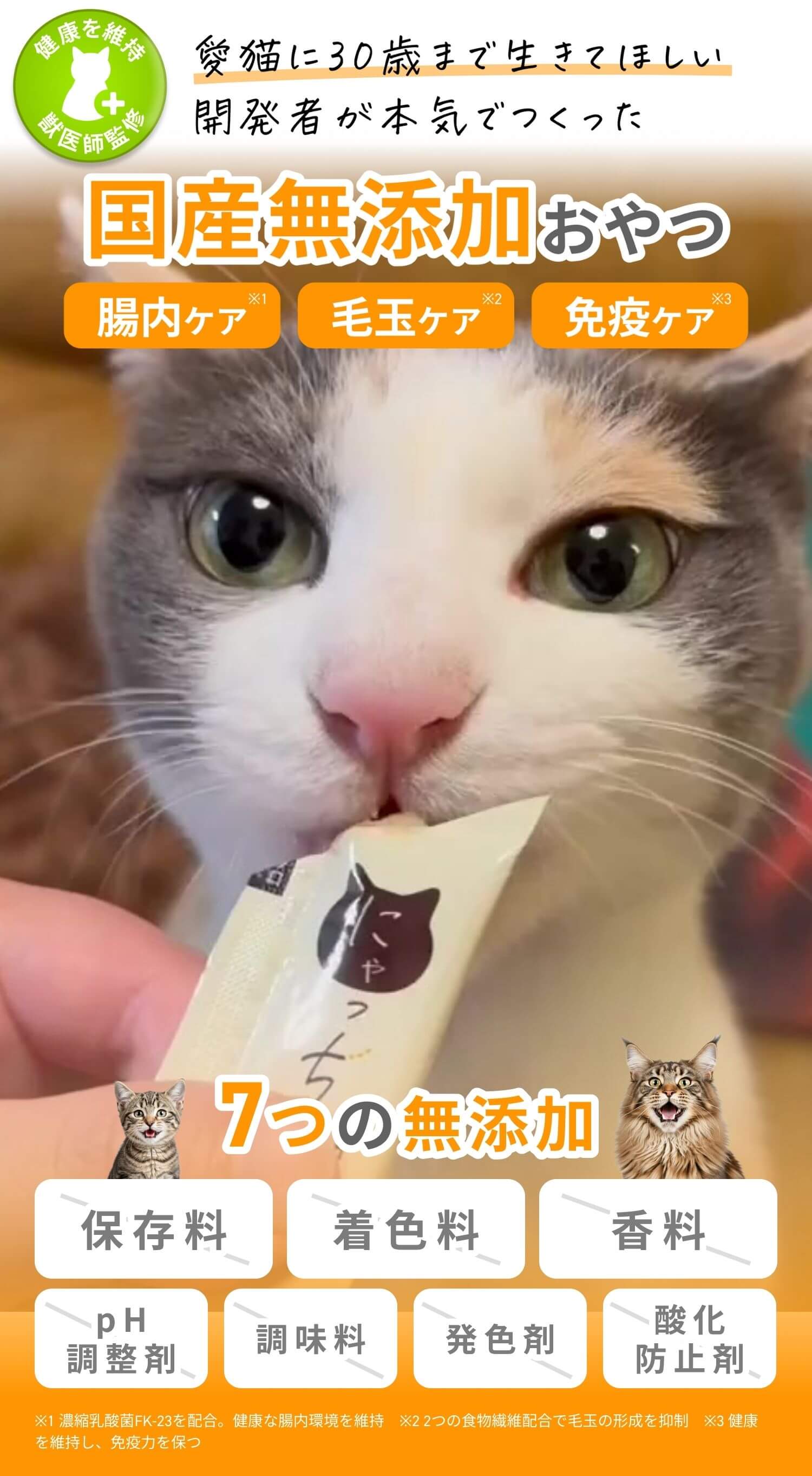 にゃち様専用 にゃち 様 専用 りにゃち様専用ページ