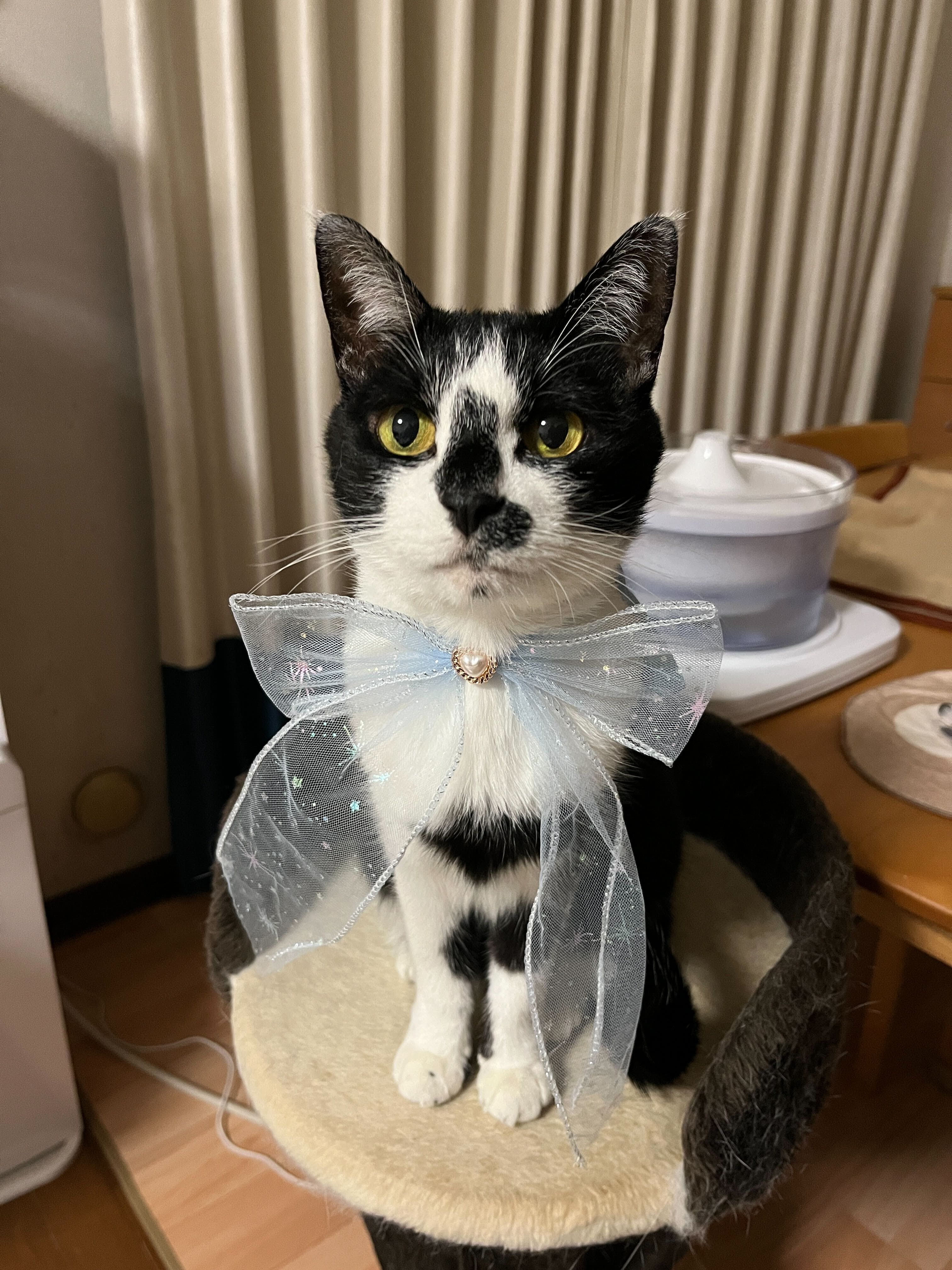 サン