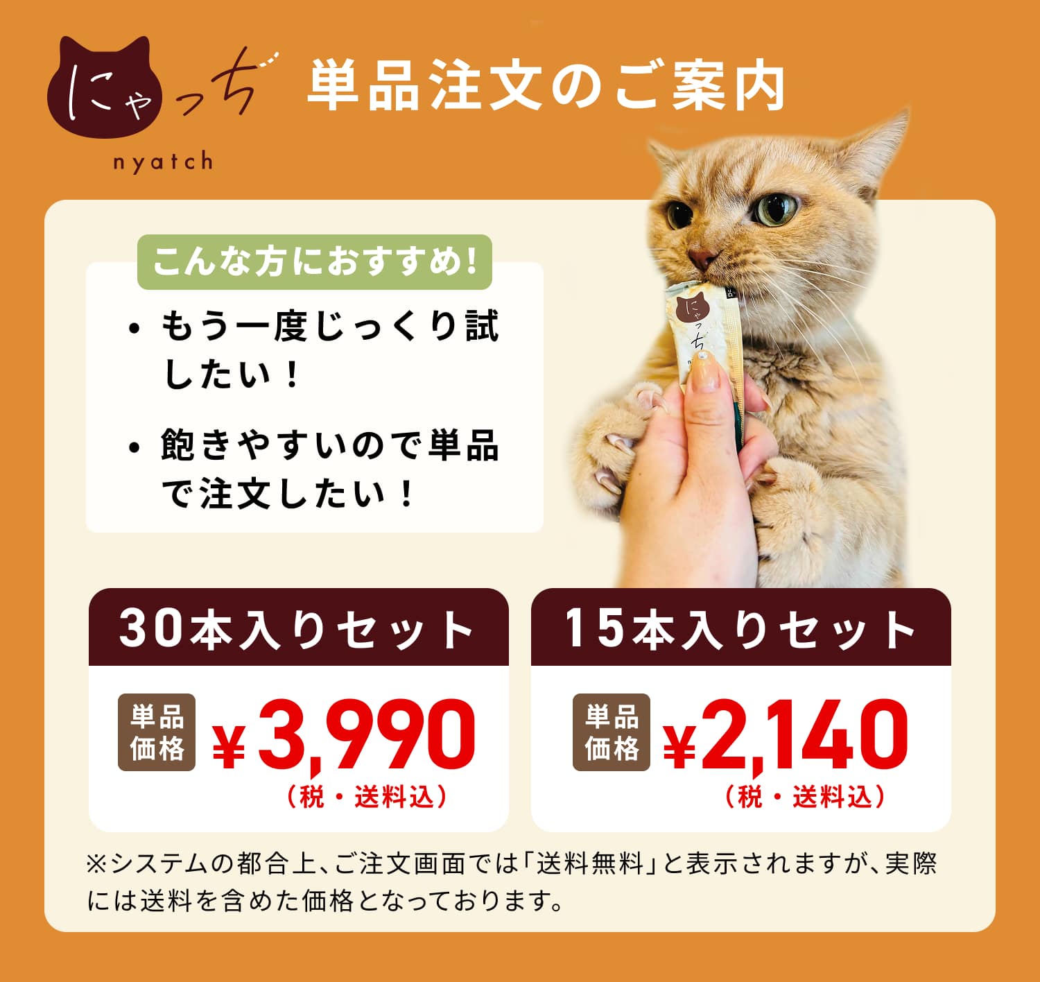 愛猫のおねだりにごめんねしていた日々にもうサヨナラ！