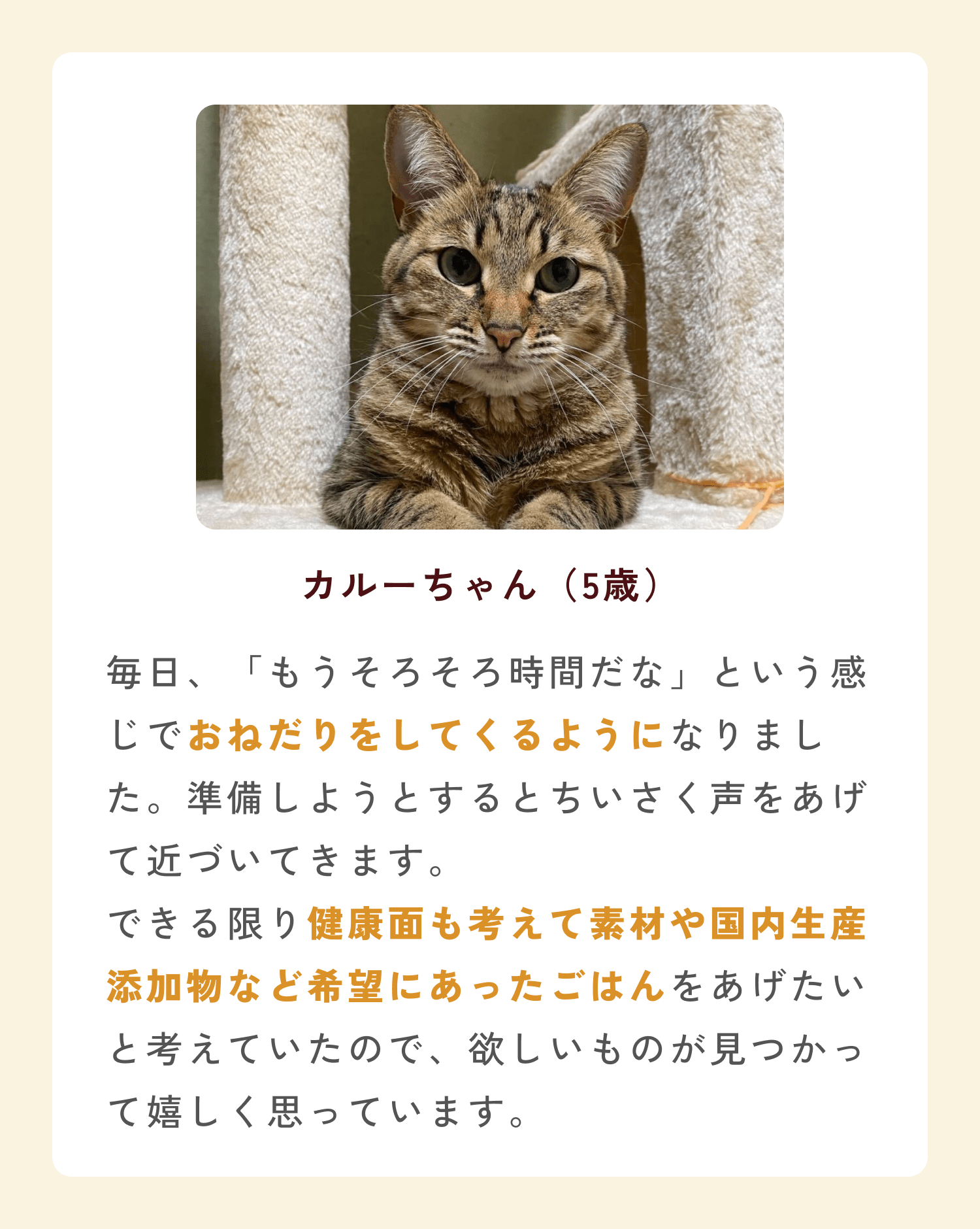 ミャオグルメのお客様によるお声です