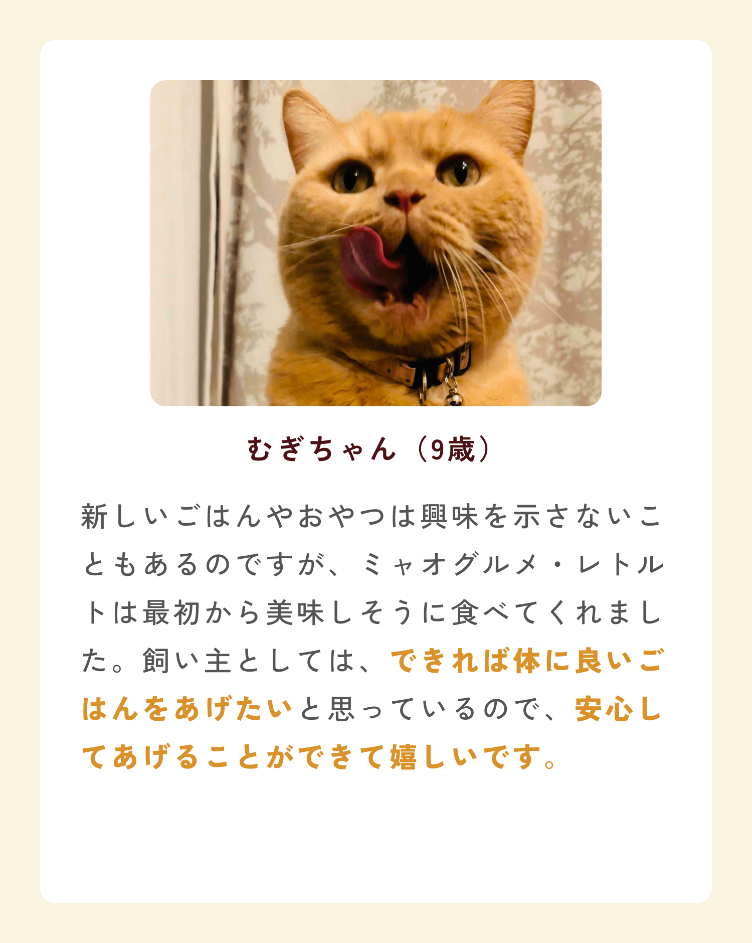 ミャオグルメのお客様によるお声です