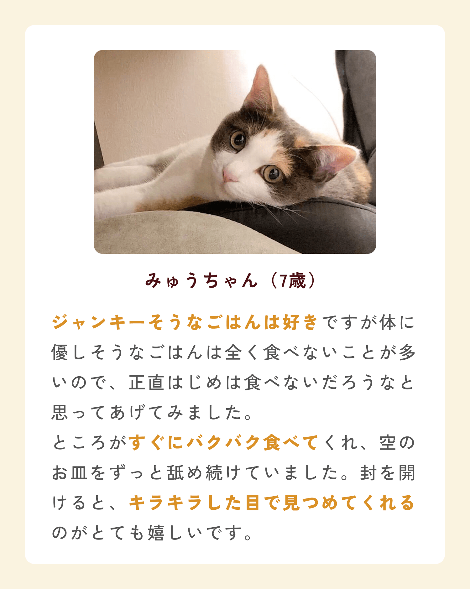 ミャオグルメのお客様によるお声です